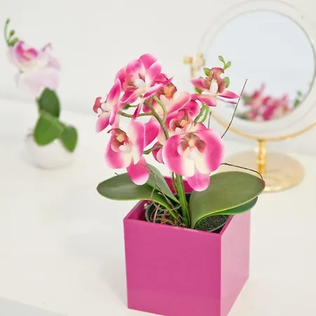 Loft Orchidee 2 * Uberlingen