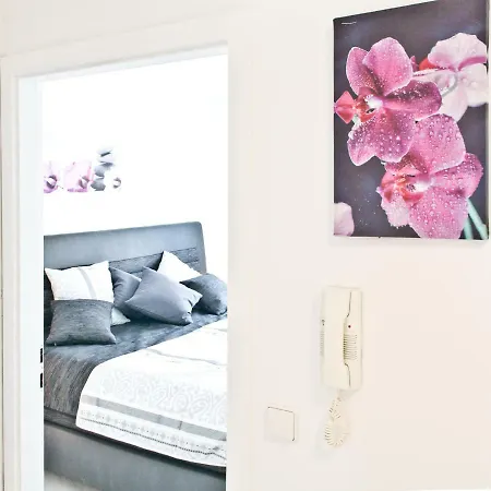 דירה Loft Orchidee 2