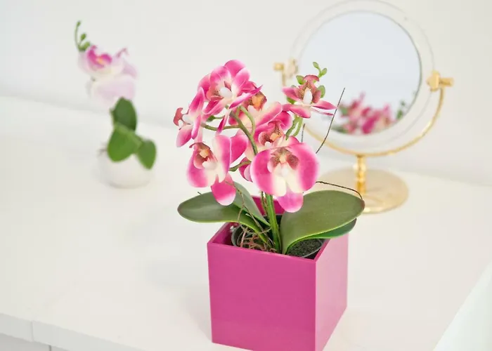 Loft Orchidee 2 * Überlingen